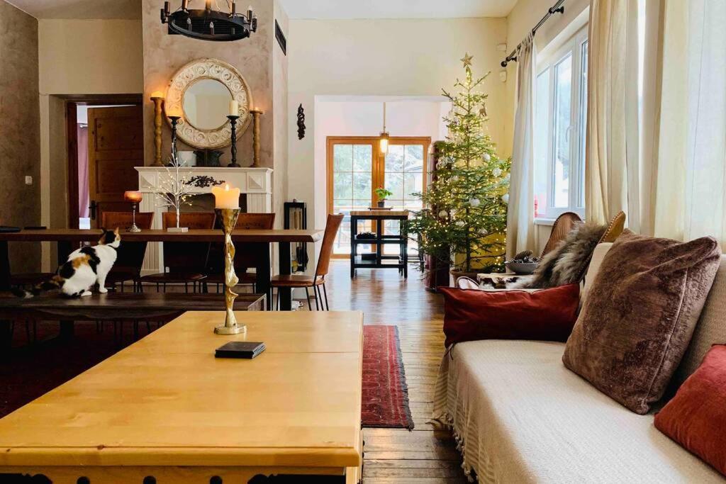 Villa Aquila Beli Iszkar Kültér fotó